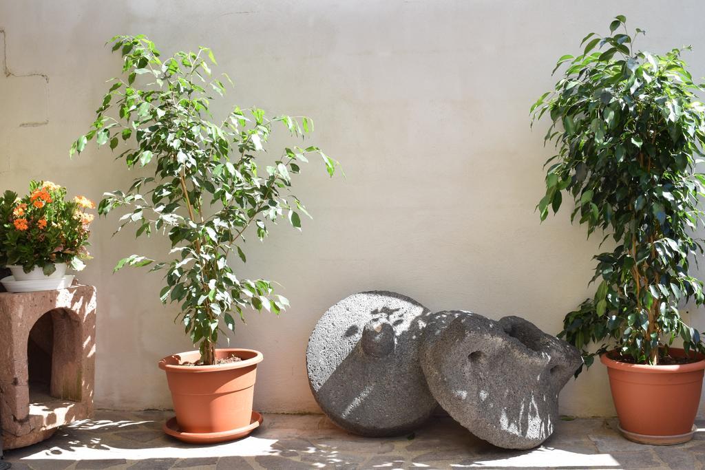 B&B Terre Del Sinis Càbras 外观 照片